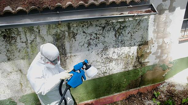 Trusted Mold Inspection service in Oak Ridge, TN - Cheap Mold Removal
